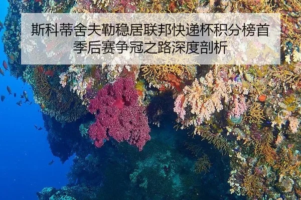 si-ke-di-she-fu-lei-wen-ju-lian-bang-kuai-di-bei-ji-fen-bang-shou-ji-hou-sai-zheng-guan-zhi-lu-shen-du-pou-xi-2-722.jpg